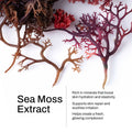 Manuka Honey & Sea Moss Body Oil